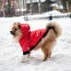 Зимний комбинезон куртка для маленьких собак Terry красный M